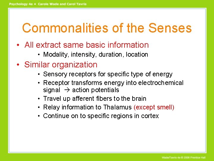 Commonalities of the Senses • All extract same basic information • Modality, intensity, duration, Commonalities of the Senses • All extract same basic information • Modality, intensity, duration,