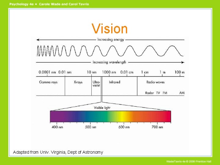 Vision Adapted from Univ. Virginia, Dept of Astronomy Vision Adapted from Univ. Virginia, Dept of Astronomy