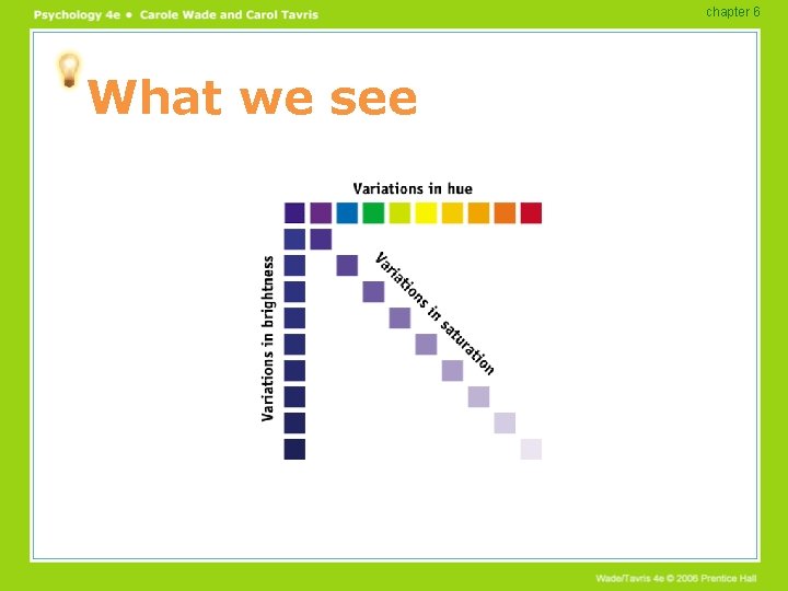 chapter 6 What we see chapter 6 What we see