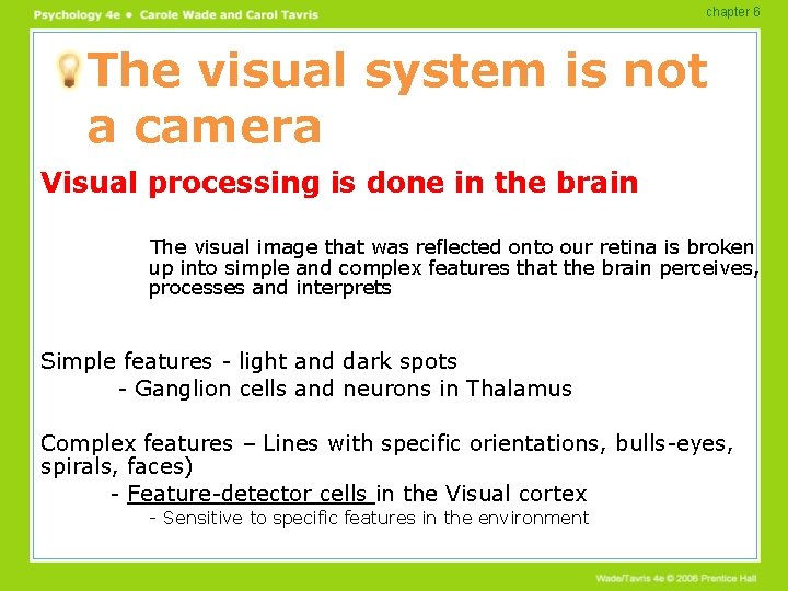 chapter 6 The visual system is not a camera Visual processing is done in chapter 6 The visual system is not a camera Visual processing is done in