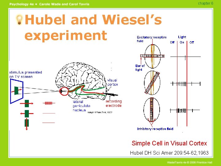 chapter 6 Hubel and Wiesel’s experiment Simple Cell in Visual Cortex Hubel DH Sci chapter 6 Hubel and Wiesel’s experiment Simple Cell in Visual Cortex Hubel DH Sci