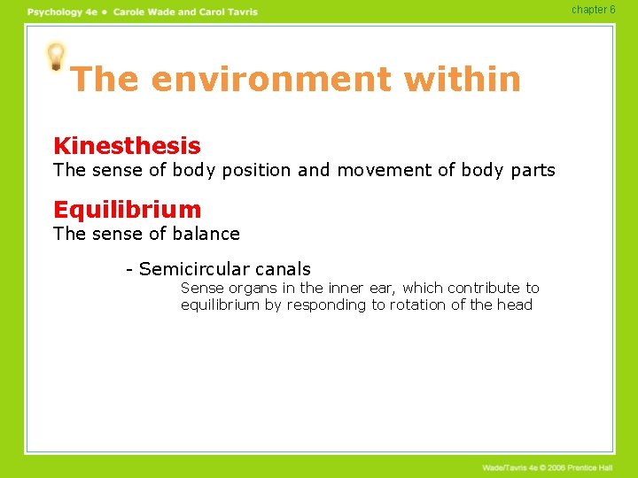 chapter 6 The environment within Kinesthesis The sense of body position and movement of chapter 6 The environment within Kinesthesis The sense of body position and movement of