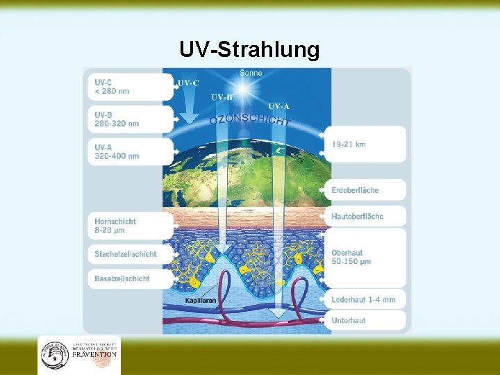 UV-Strahlung 