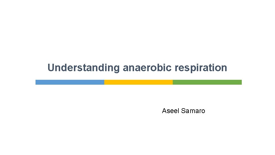 Understanding anaerobic respiration Aseel Samaro 