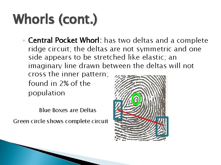 Whorls (cont. ) ◦ Central Pocket Whorl: has two deltas and a complete ridge