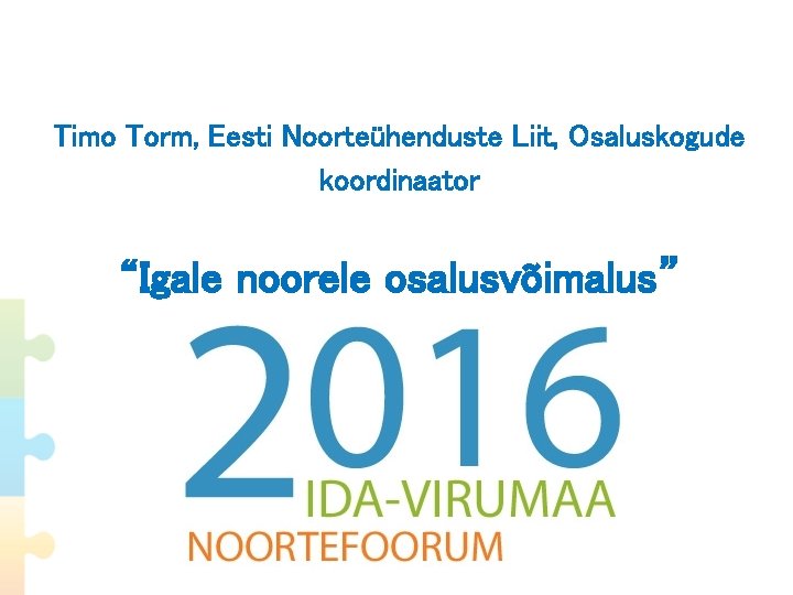 Timo Torm, Eesti Noorteühenduste Liit, Osaluskogude koordinaator “Igale noorele osalusvõimalus” 