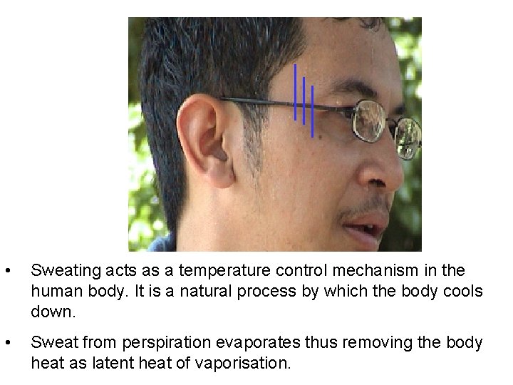  • Sweating acts as a temperature control mechanism in the human body. It