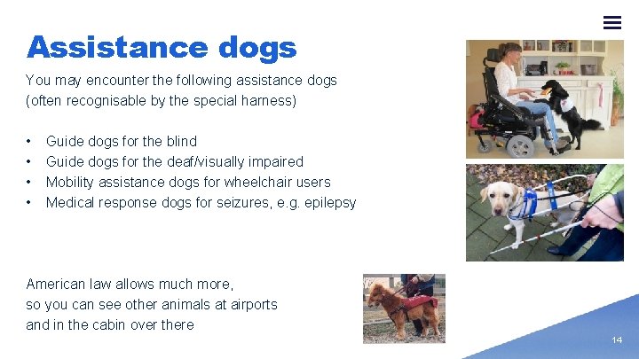 Assistance dogs You may encounter the following assistance dogs (often recognisable by the special