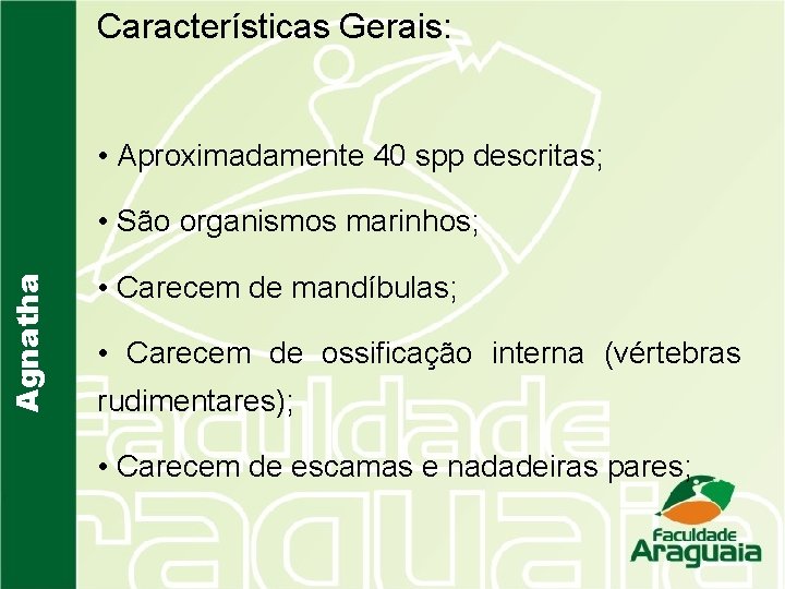 Características Gerais: • Aproximadamente 40 spp descritas; Agnatha • São organismos marinhos; • Carecem