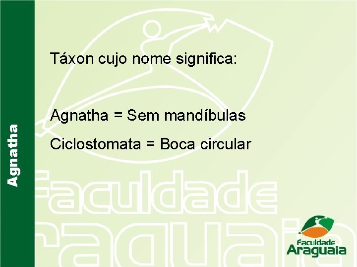 Agnatha Táxon cujo nome significa: Agnatha = Sem mandíbulas Ciclostomata = Boca circular 