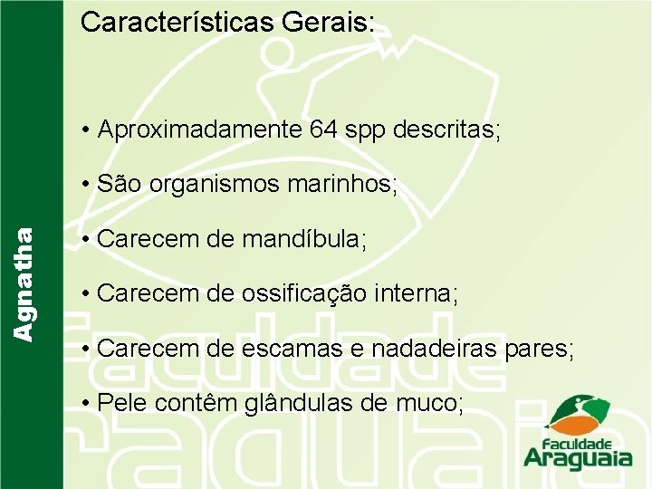 Características Gerais: • Aproximadamente 64 spp descritas; Agnatha • São organismos marinhos; • Carecem