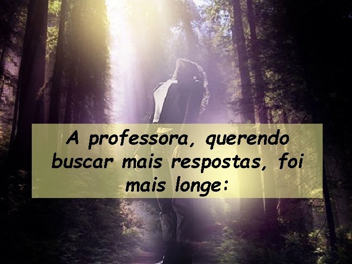 A professora, querendo buscar mais respostas, foi mais longe: 