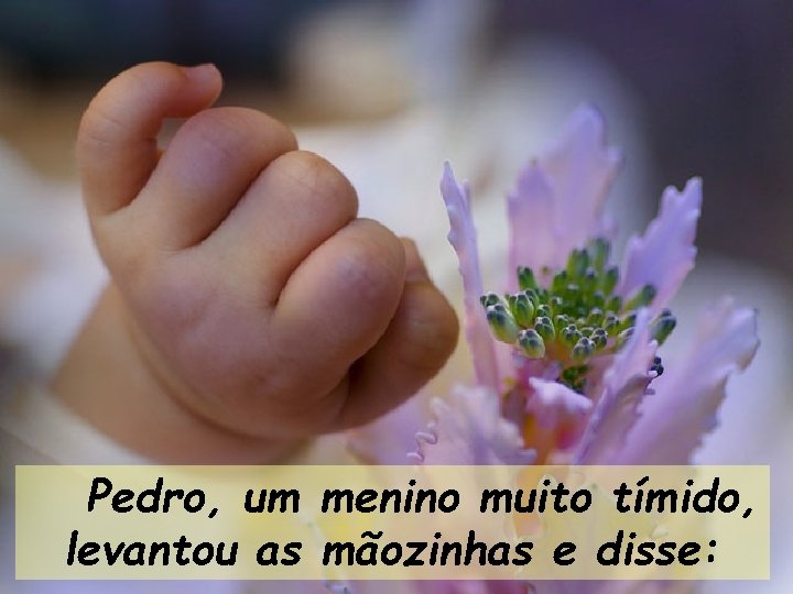  Pedro, um menino muito tímido, levantou as mãozinhas e disse: 