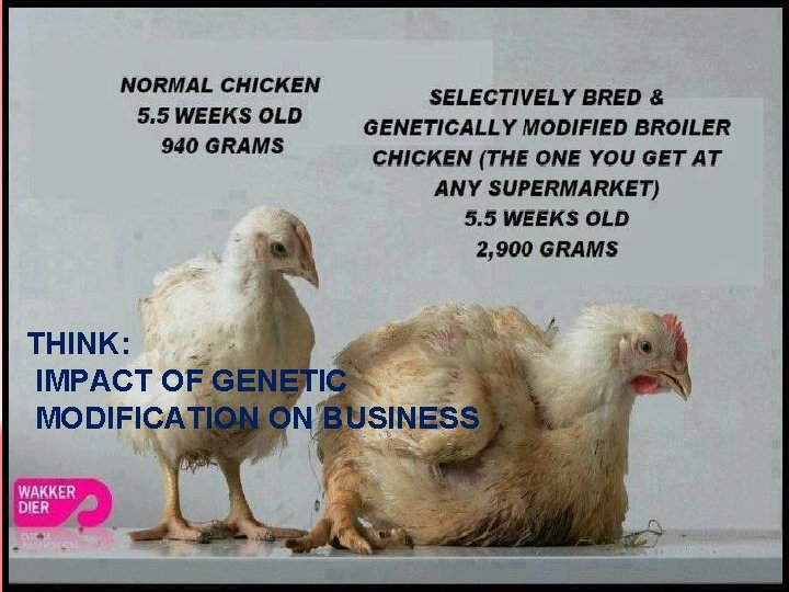 THINK: IMPACT OF GENETIC MODIFICATION ON BUSINESS 