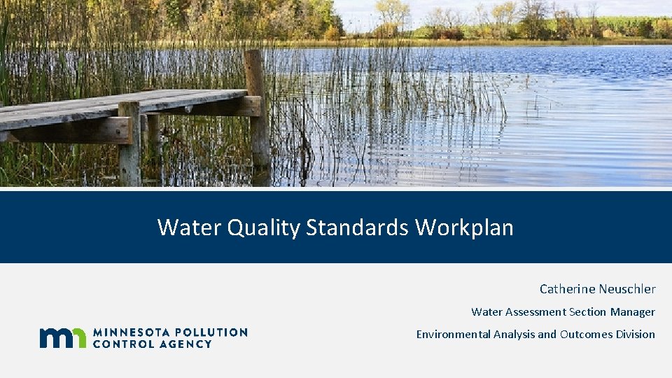 Water Quality Standards Workplan Catherine Neuschler Water Assessment Section Manager Environmental Analysis and Outcomes