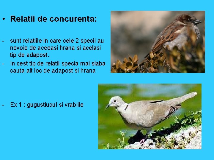  • Relatii de concurenta: - sunt relatiile in care cele 2 specii au