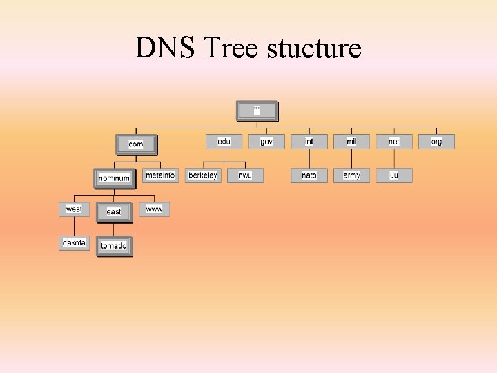 DNS Tree stucture 