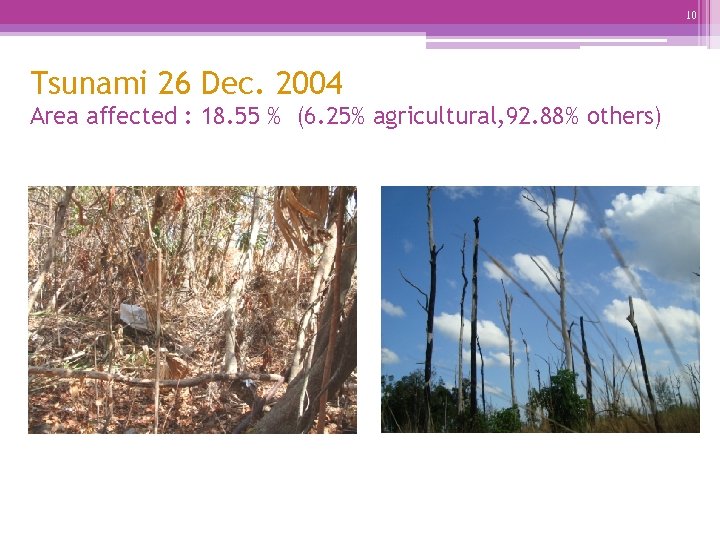 10 Tsunami 26 Dec. 2004 Area affected : 18. 55 % (6. 25% agricultural,