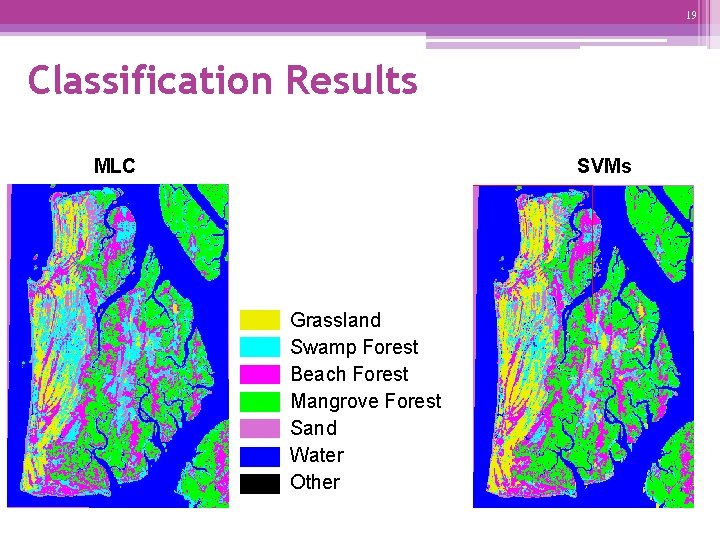 19 Classification Results MLC SVMs Grassland Swamp Forest Beach Forest Mangrove Forest Sand Water
