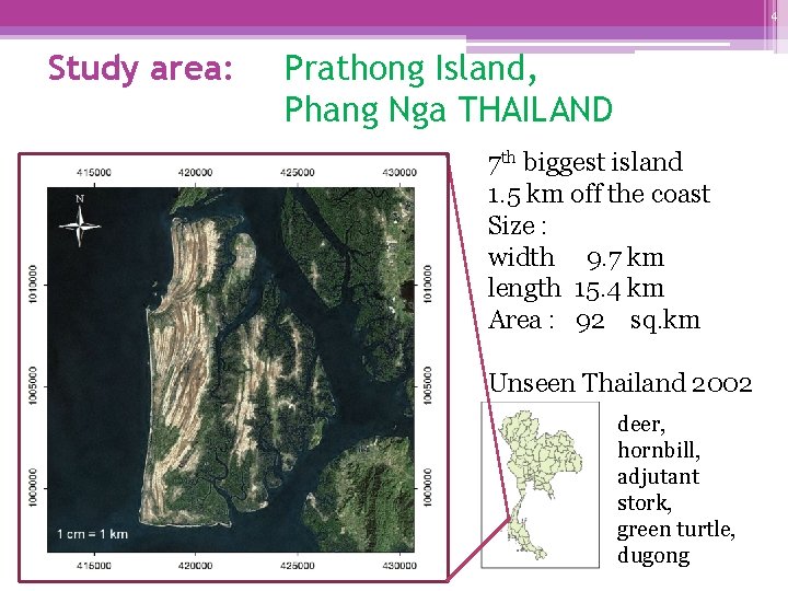 4 Study area: Prathong Island, Phang Nga THAILAND 7 th biggest island 1. 5