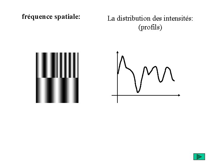 fréquence spatiale: La distribution des intensités: (profils) 