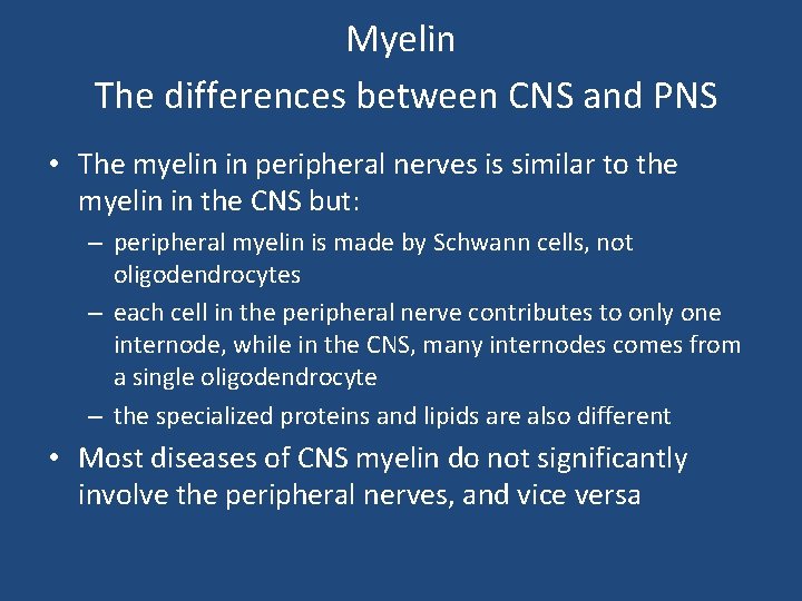 Myelin The differences between CNS and PNS • The myelin in peripheral nerves is