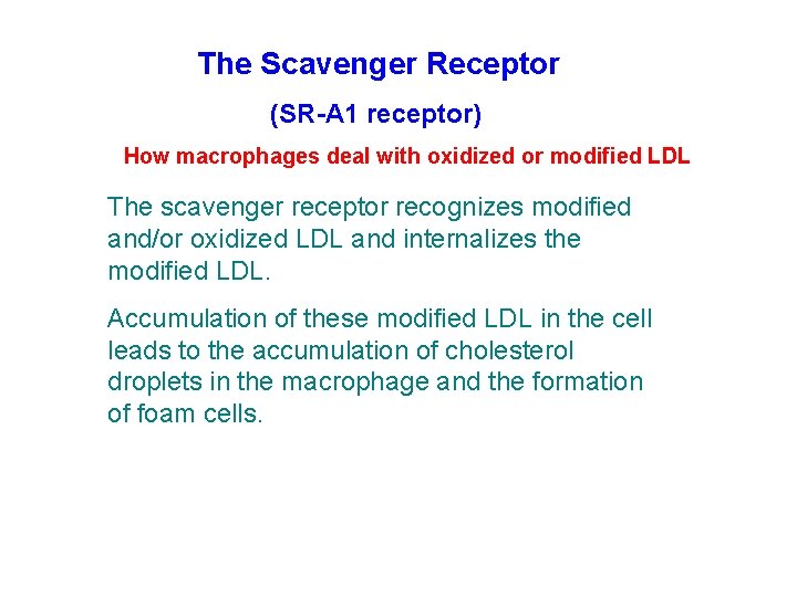 The Scavenger Receptor (SR-A 1 receptor) How macrophages deal with oxidized or modified LDL