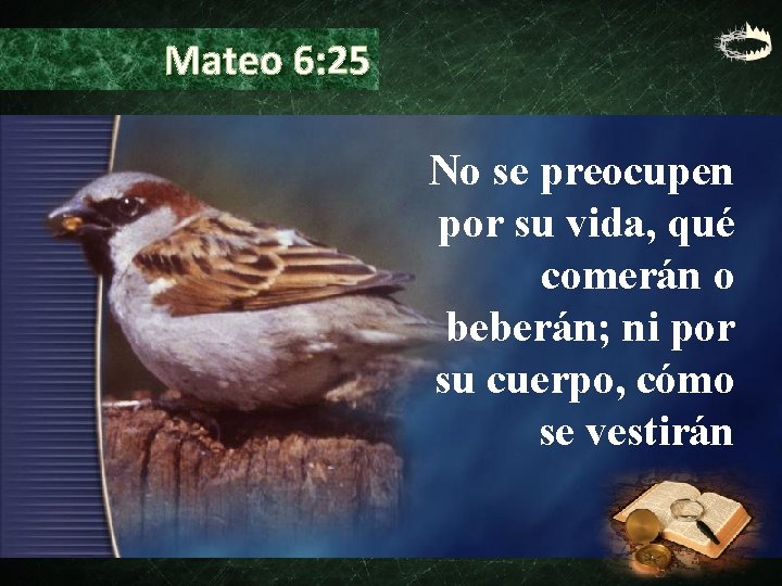 Mateo 6: 25 No se preocupen por su vida, qué comerán o beberán; ni