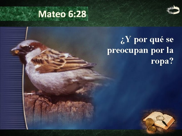 Mateo 6: 28 ¿Y por qué se preocupan por la ropa? Mateo 6: 28 ¿Y por qué se preocupan por la ropa?