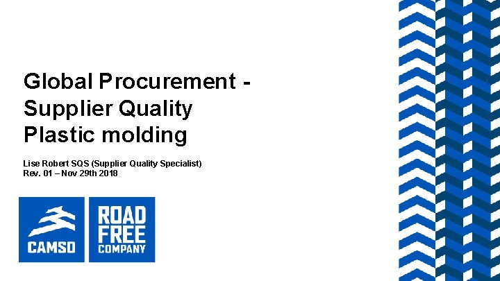 Global Procurement - Supplier Quality Plastic molding Lise Robert SQS (Supplier Quality Specialist) Rev.