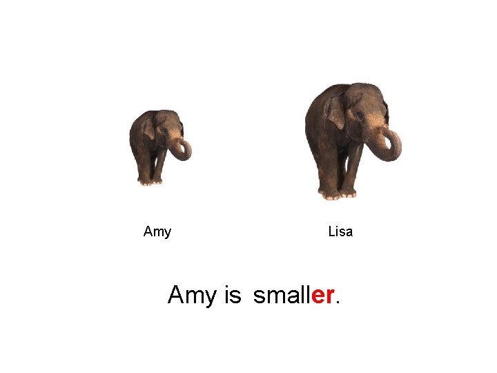 Amy Lisa Amy is smaller. 