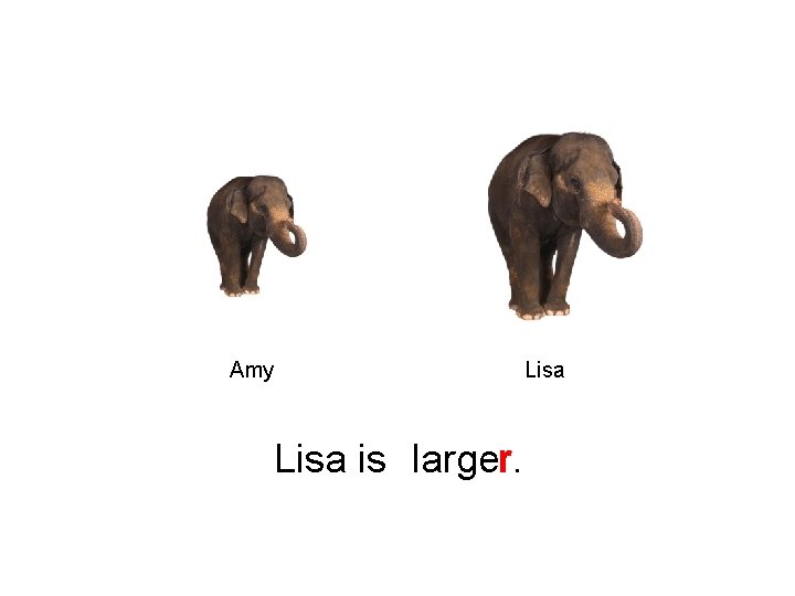 Amy Lisa is larger. Lisa 
