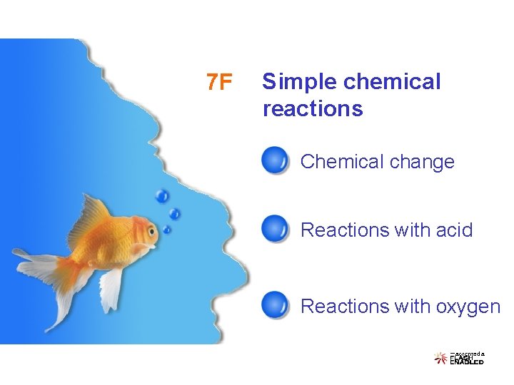 7 F Simple chemical reactions Chemical change Reactions with acid Reactions with oxygen 