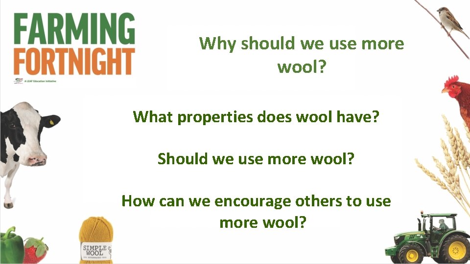 Why should we use more wool? What properties does wool have? Should we use