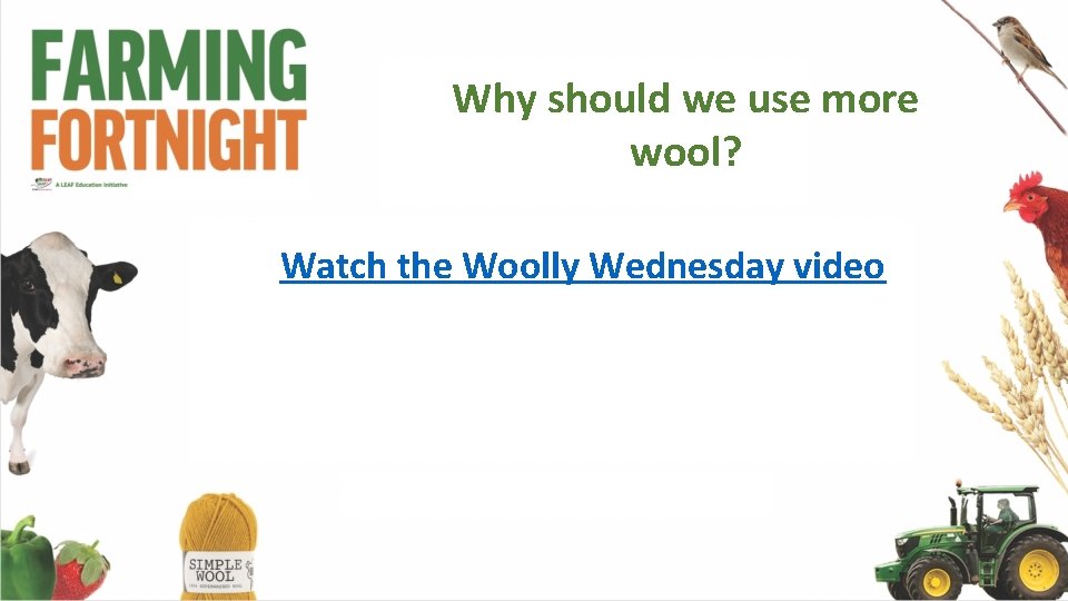 Why should we use more wool? Watch the Woolly Wednesday video 