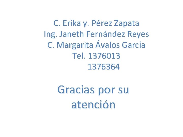 C. Erika y. Pérez Zapata Ing. Janeth Fernández Reyes C. Margarita Ávalos García Tel.