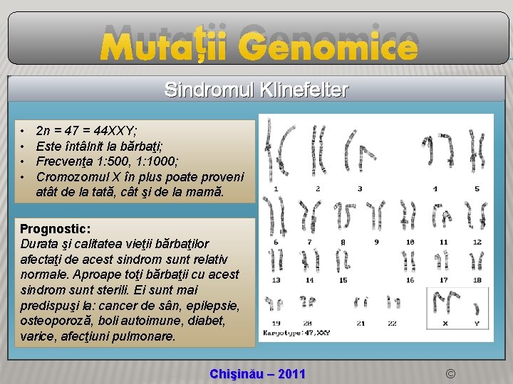 Mutații Genomice Sindromul Klinefelter • • 2 n = 47 = 44 XXY; Este