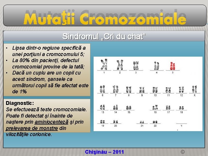 Mutaţii Cromozomiale Sindromul „Cri du chat” • Lipsa dintr-o regiune specifică a unei porţiuni
