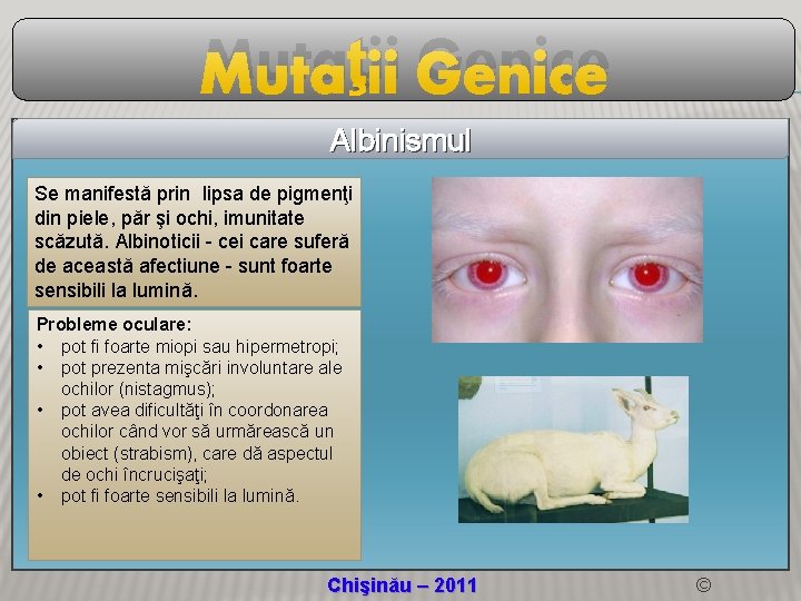 Mutaţii Genice Albinismul Se manifestă prin lipsa de pigmenţi din piele, păr şi ochi,