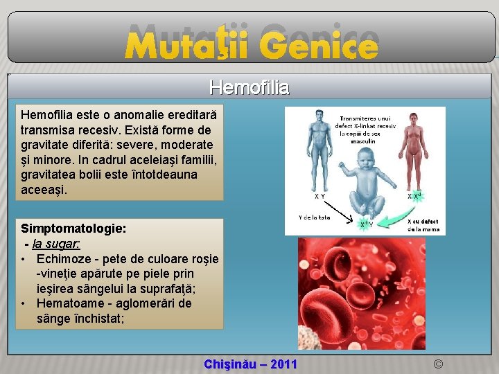 Mutaţii Genice Hemofilia este o anomalie ereditară transmisa recesiv. Există forme de gravitate diferită: