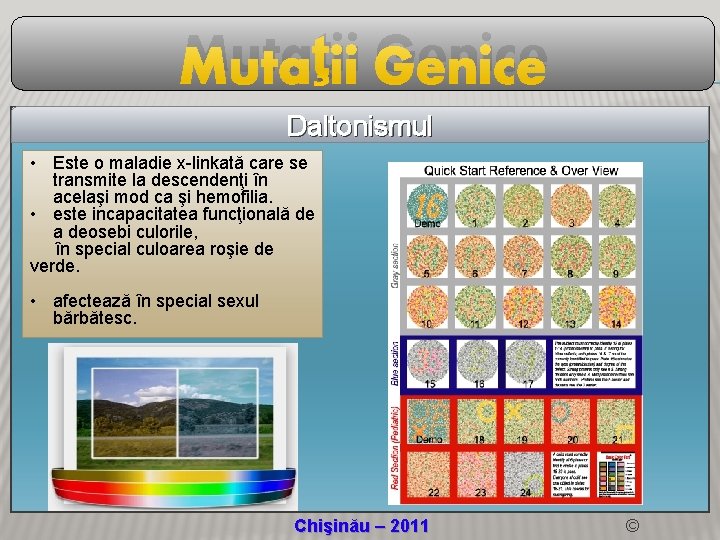 Mutaţii Genice Daltonismul • Este o maladie x-linkată care se transmite la descendenţi în