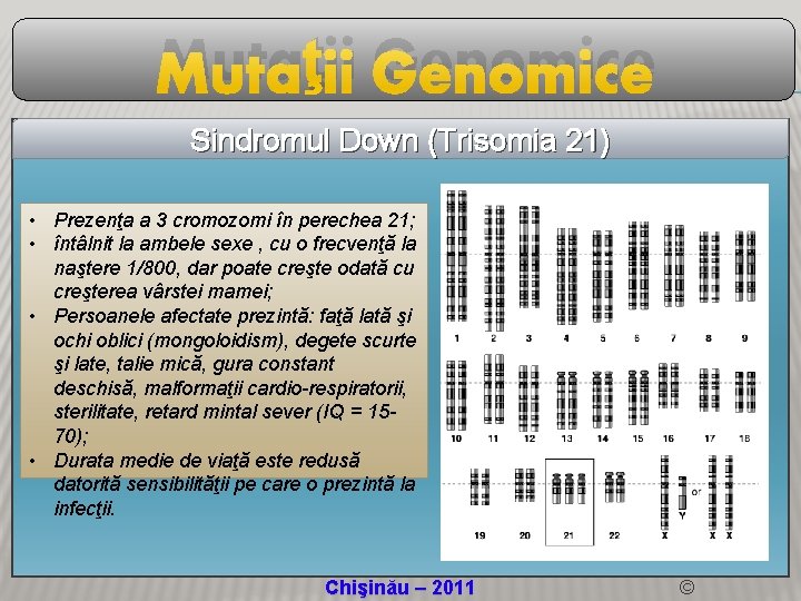 Mutaţii Genomice Sindromul Down (Trisomia 21) • Prezenţa a 3 cromozomi în perechea 21;