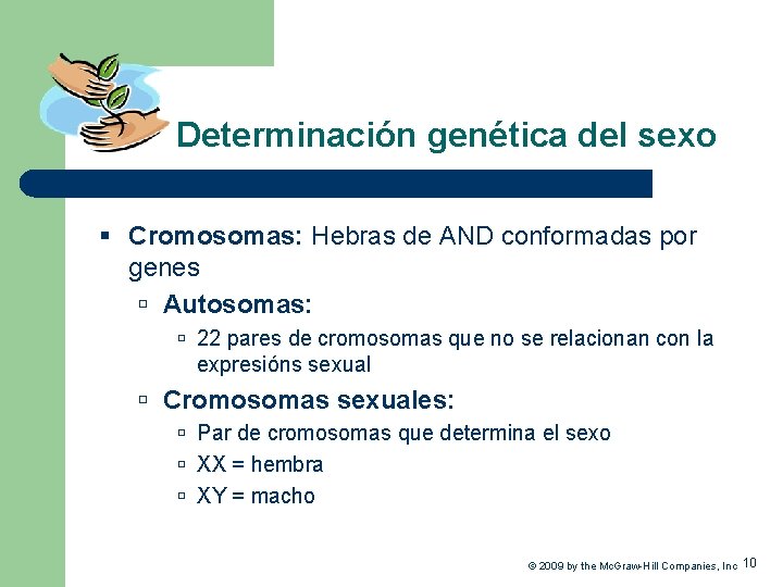 Determinación genética del sexo § Cromosomas: Hebras de AND conformadas por genes Autosomas: 22