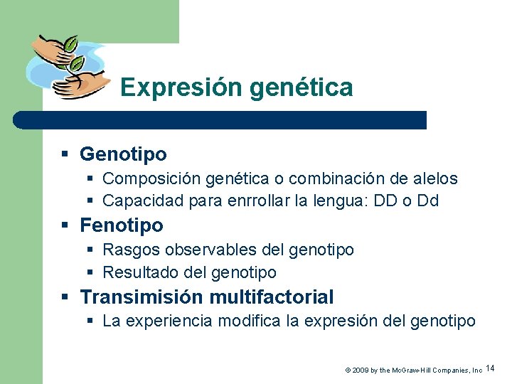 Expresión genética § Genotipo § Composición genética o combinación de alelos § Capacidad para