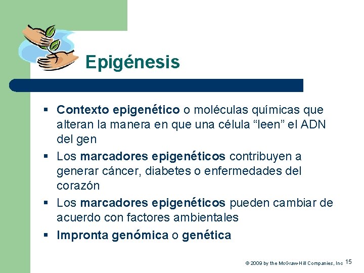 Epigénesis § Contexto epigenético o moléculas químicas que alteran la manera en que una