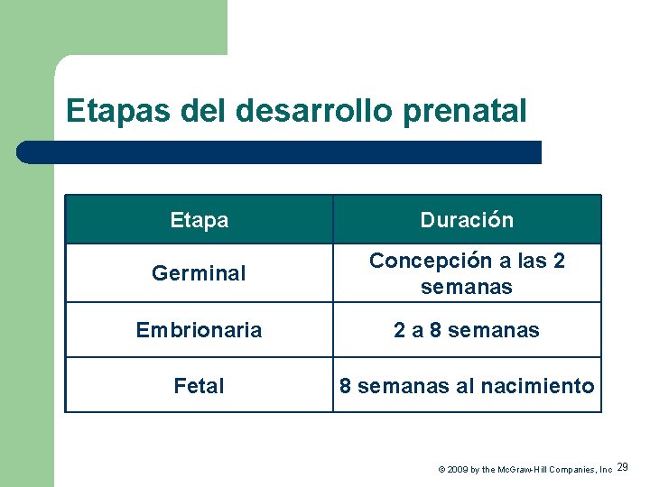 Etapas del desarrollo prenatal Etapa Duración Germinal Concepción a las 2 semanas Embrionaria 2