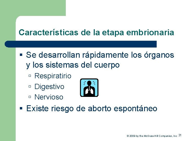 Características de la etapa embrionaria § Se desarrollan rápidamente los órganos y los sistemas