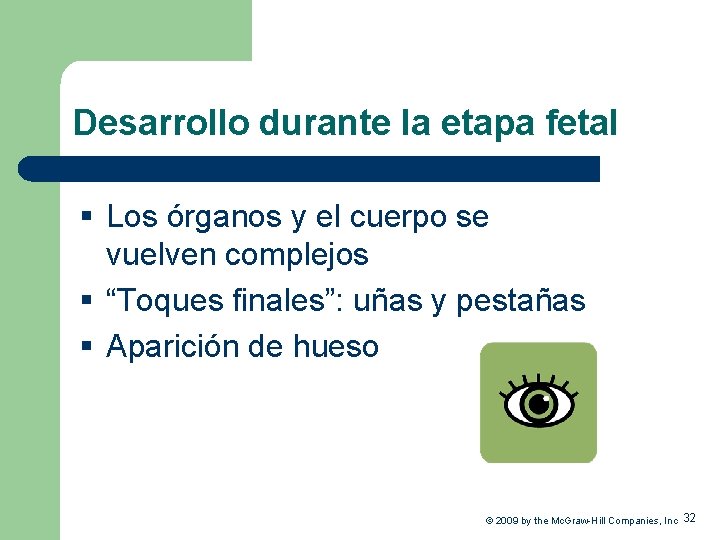 Desarrollo durante la etapa fetal § Los órganos y el cuerpo se vuelven complejos
