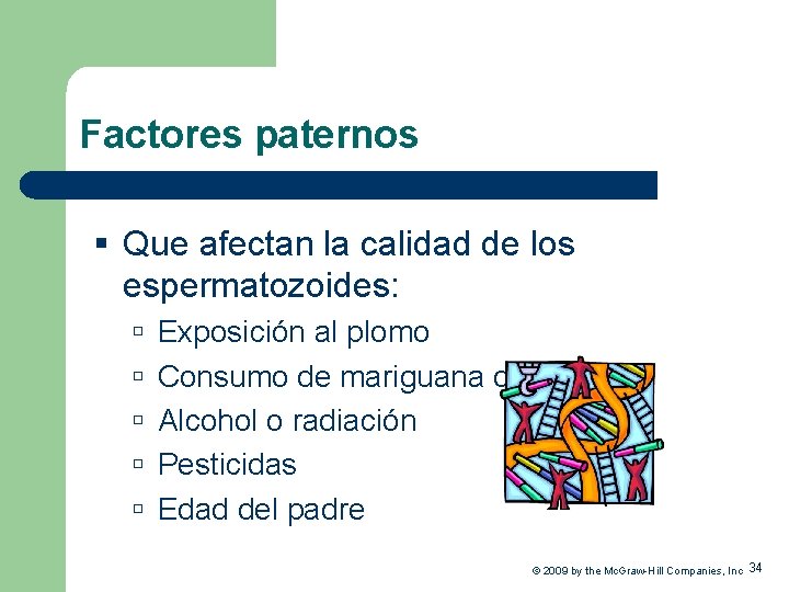 Factores paternos § Que afectan la calidad de los espermatozoides: Exposición al plomo Consumo
