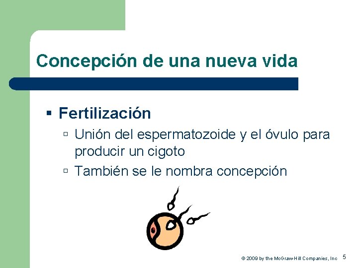 Concepción de una nueva vida § Fertilización Unión del espermatozoide y el óvulo para